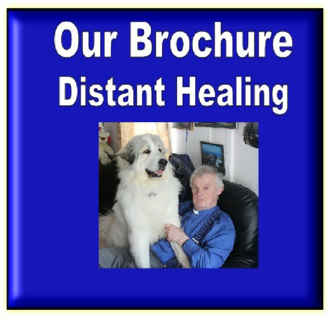 2019   CHARITY  DISTANT HEALING BROUCHURE.pdf